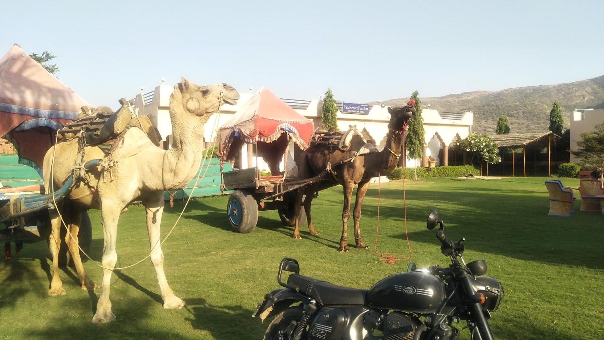 Pari Resort With Nature View Pushkar Buitenkant foto